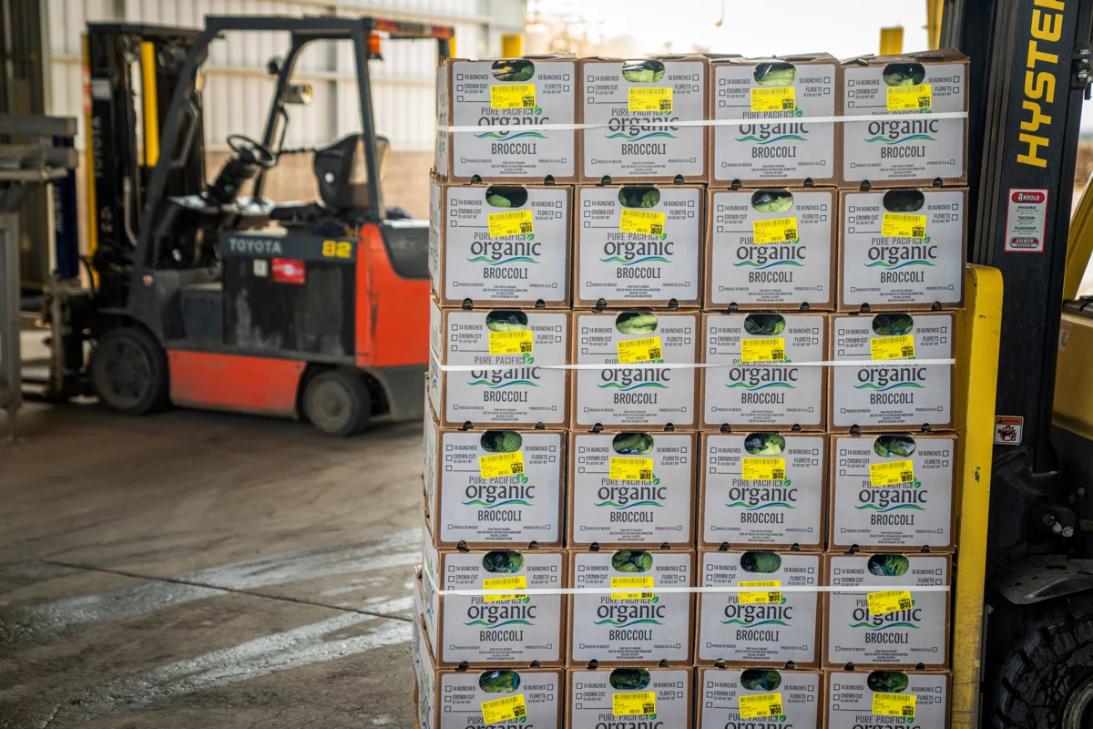 Forklift and palletized boxes in a warehouse loading area